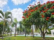 En venta casa de 3 rec, amueblada y equipada, Paseo de...