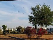 En venta casa en San Juan del Río, Qro