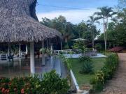 En Venta Casa finca, 7 hectáreas En pueblo nuevo Córdoba