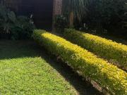 EN VENTA CASA SOLA DE UN NIVEL EN ACATLIPA MORELOS