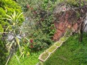 EN VENTA CASA SOLA EN LOMAS DE SAN ANTON