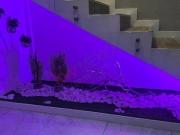 EN VENTA DEPARTAMENTO AMUEBLADO Y EQUIPADO, CD. JUAREZ,CHIH EN VENTA DEPARTAMENTO AMUEBLADO Y EQUIPADO, CD. JUAREZ,CHIH