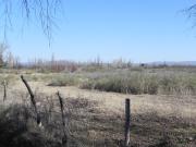 En Venta excelente FINCA de 2.7 ha en San Rafael, Mendoza