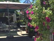 En venta fantástico restaurante y vivienda con terraza...