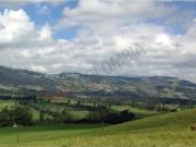 En Venta Finca En Guasca Vía Calera Sopo Oportunidad De...