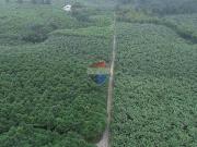 En venta hacienda 112 hectáreas, La Maná