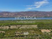 En venta Hectárea lotificada en Playa Palmarito, Puerto...