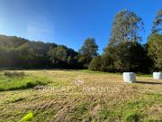 En venta hermosa parcela con río y bosque nativo en...