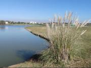 EN VENTA, IMPORTANTE LOTE A LAGUNA, SAN SEBASTIAN,...