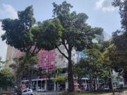 En Venta Local En El Barrio San Fernando