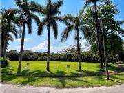 En venta lote en el condominio hacienda la primavera en...