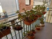 EN VENTA MAGNIFICA CASA UNIFAMILIAR EN ZONA CENTRO ASPE