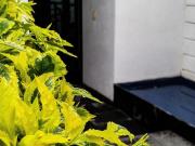 EN VENTA MODERNA CASA UBICADA EN OAXTEPEC, MORELOS