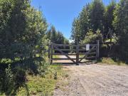 EN VENTA PARCELA ORILLA LAGO SAN ANTONIO CHILOE