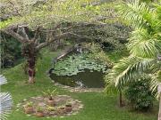 En venta PH duplex en la Urb. Miranda En venta PH duplex en la Urb. Miranda