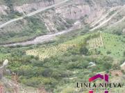 En Venta propiedad Agrícola con potencial Turístico a 7...