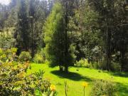 En Venta propiedad Campestre 2482m2 sector La Merced