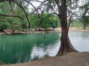 EN VENTA QUINTA CAMPESTRE LA PEÑITA, MONTEMORELOS, N.L