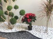 !EN VENTA! Residencia de una Planta en ?!ESQUINA!