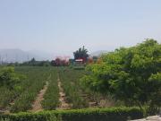 En Venta Terreno Agricola 7300M2 En Valle De Mala