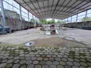 En venta terreno con galpón y área para oficinas