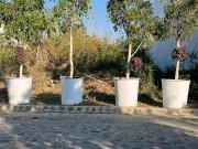 En VENTA Terreno con seguridad en Colonia Vistahermosa,...