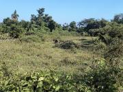 En venta Terreno de 20,000 m² dos hectáreas en la...
