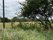 En Venta: Terreno de 4,000 m² Sobre Avenida Principal al...