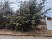 En Venta terreno de 500 m2 en San Sebastian CUSCO