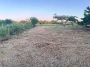 EN VENTA! TERRENO EN COL. FELIPE CARRILLO P. ALTAMIRA TMPS