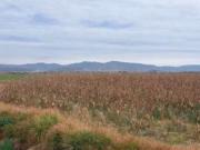 En Venta Terreno en Pachuca, Hidalgo