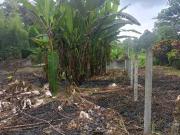 EN VENTA – TERRENO EN PUERTO QUITO