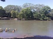 EN VENTA TERRENO ORILLA RIO EN PASO DEL TORO VERACRUZ, 6...