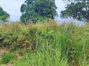 En venta Terreno para tu casa de campo