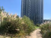 EN VENTA TERRENO PLANO, JUNTO AL CAMPO DE GOLF DE 9...