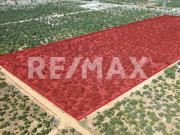 EN VENTA TERRENO RUSTICO CERCA DE CARRETERA MEXICALI...