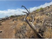 EN VENTA TERRENO URBANO EN IGUESTE DE CANDELARIA