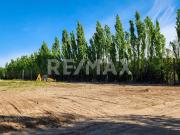 EN VENTA TERRENOS 261M2 | CONFLUENCIA | NEUQUÉN