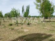 EN VENTA TERRENOS DE 351MTS