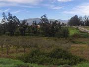 En venta tres lotes de terreno PUEMBO cerca colegio...