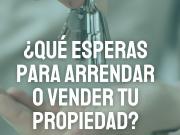 En Viña del Mar, Departamentos