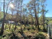 ¡En zona tranquila y rodeada de naturaleza!