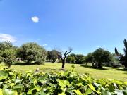 Encantador apartamento en una tranquila zona residencial...