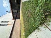 Encantadora casa con amplio terreno y paneles solares...