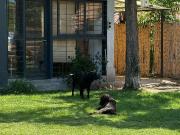 Encantadora Casa en La Puntilla, a metros de la Ruta...