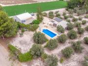 Encantadora finca con 300 olivos en venta en Dolores