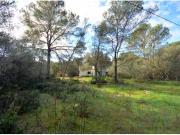 ENCANTADORA FINCA RÚSTICA EN CASA BLANCA