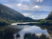 Encantadora propiedad con amplias posibilidades Encantadora propiedad con amplias posibilidades