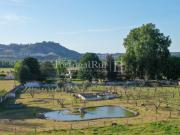 Encantadora quinta em Abrantes com 3,5 ha, perto do Rio...
