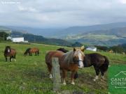 ENCANTADORA VIVIENDA DE MONTAÑA CON VISTAS PANORAMICAS...